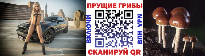 Купить где  Озёрск  Галлюциногенные грибы ЛСД 